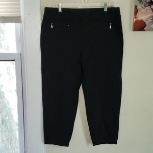 Avenue Ankle Pants 16W